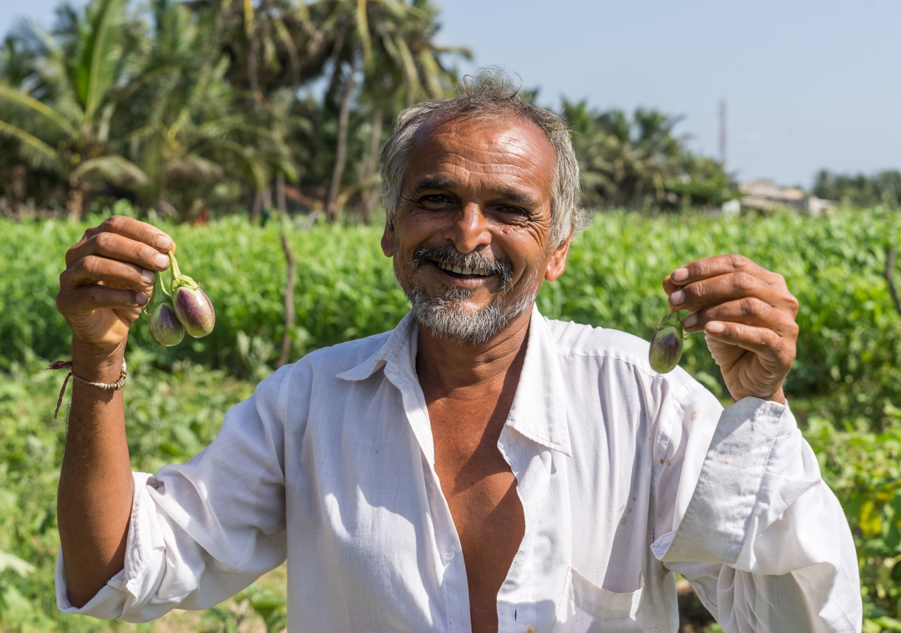 A vegetable farmer in India trained to replace harmful pesticides with organic farming, by the Aga Khan Rural Support Programme, India