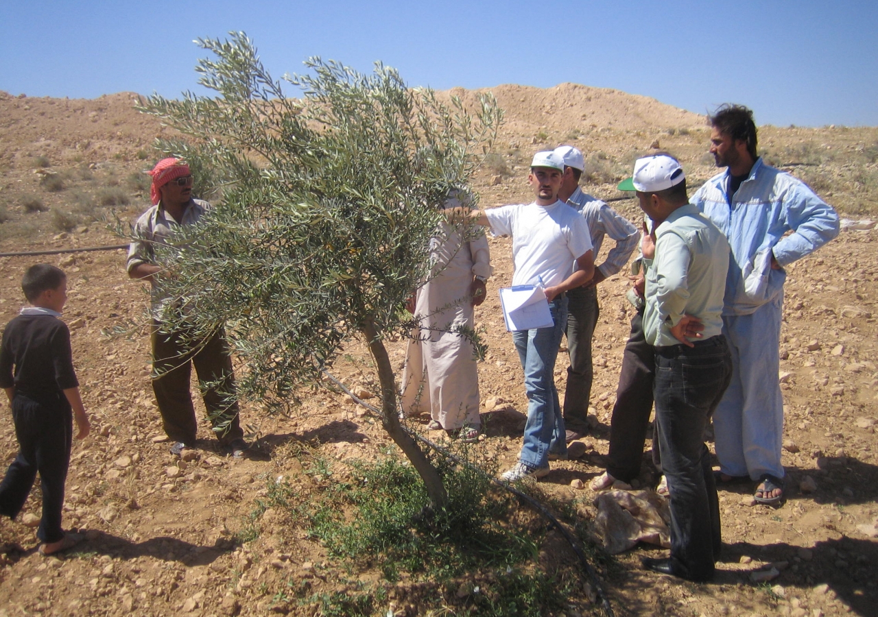 AKF Rural Support Team visits a farm in Syria to check on the new irrigation system. 
