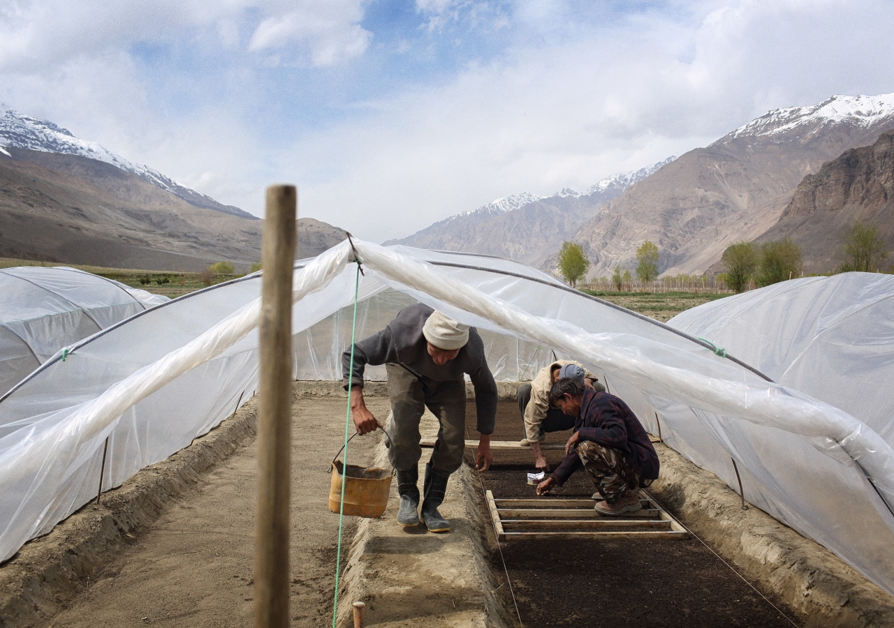 TKN volunteers have contributed to studies assessing AKF's and AKDN’s impact on food security in several countries, including Afghanistan.