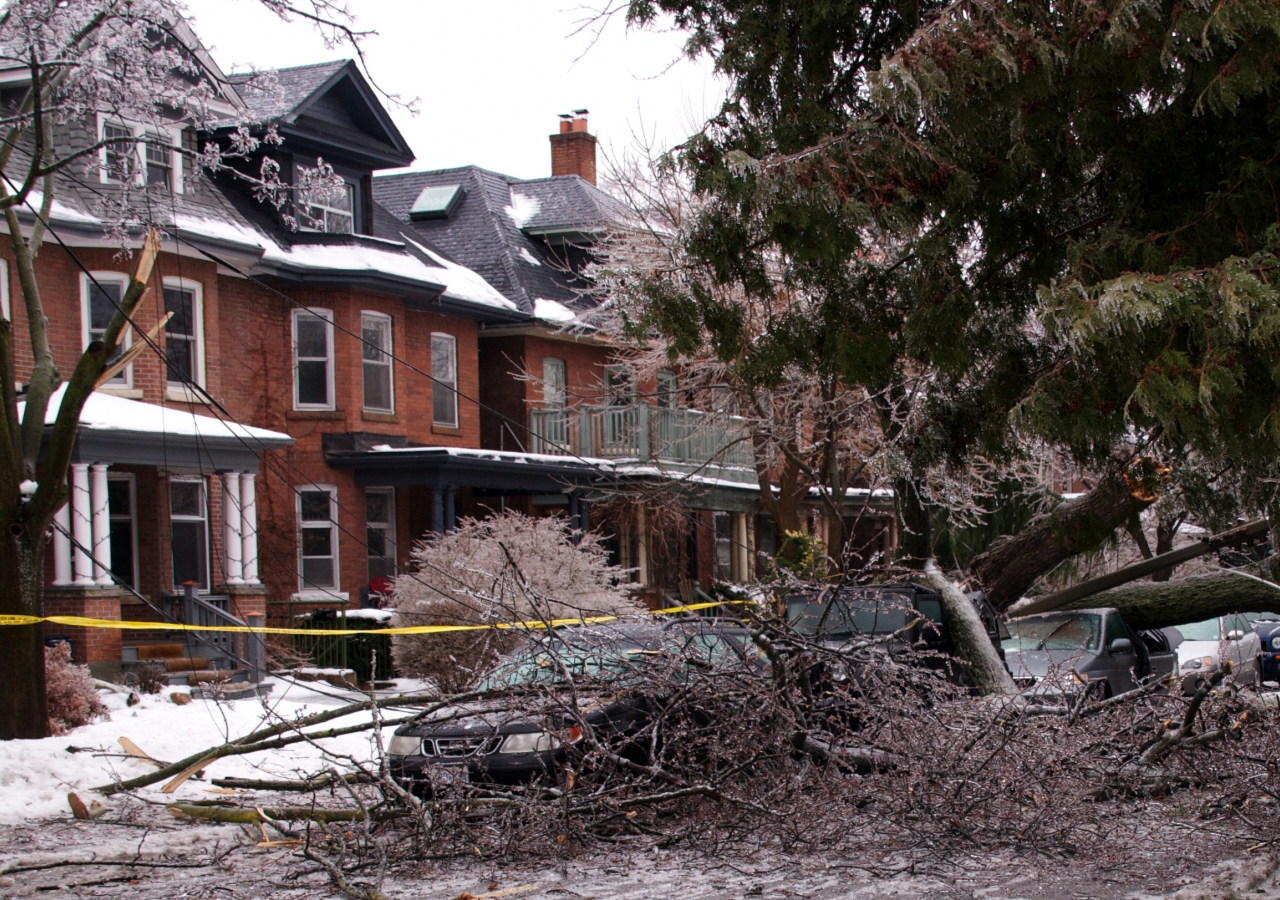 The weight of accumulated ice from the storm caused heavy tree branches to crack and fall, bringing down power lines and causing widespread damage throughout the Toronto area.