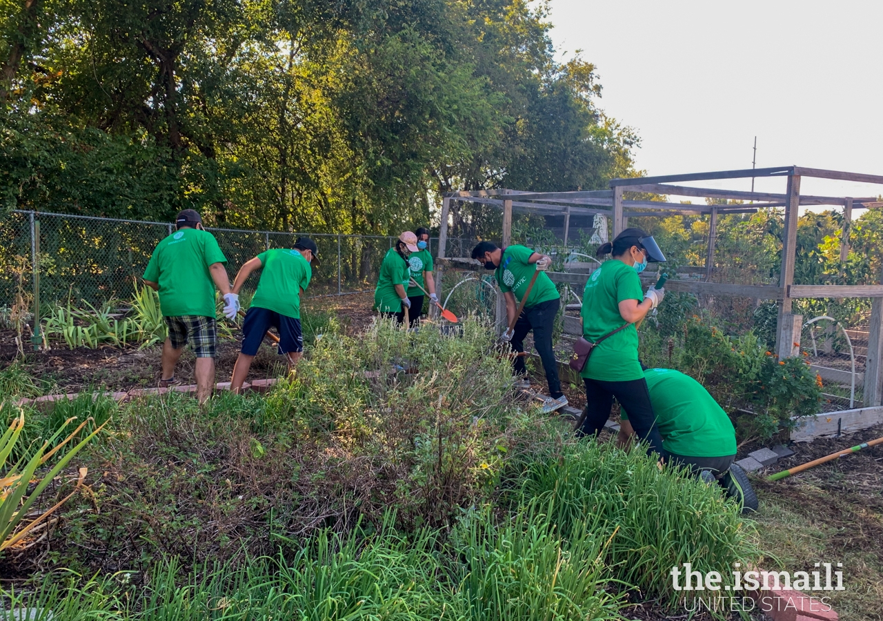 Ismaili CIVIC volunteers assist with routine maintenance and gardening at the community garden.