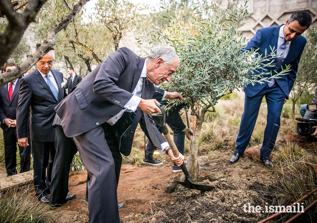 President of the Portuguese Republic, Marcelo Rebelo de Sousa, planting an olive tree, a symbol of peace and harmony, in the garden at the Ismaili Centre Lisbon.