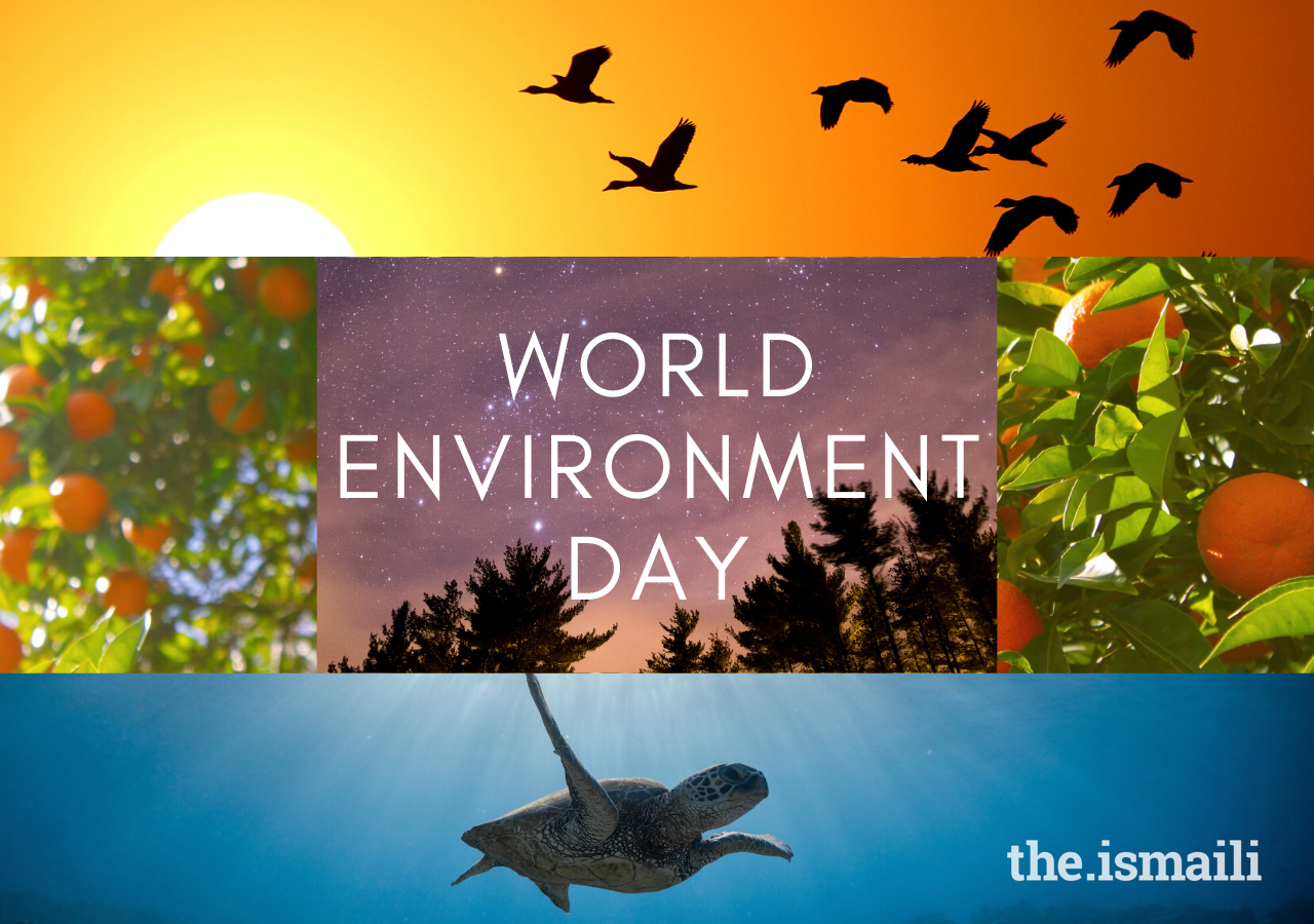 World Environment Day: Building a sustainable future | the.Ismaili