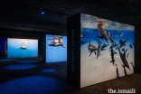 The Living Sea exhibition featured photographs of marine life including dolphins, sea lions, sharks, whales, turtles, and other creatures.