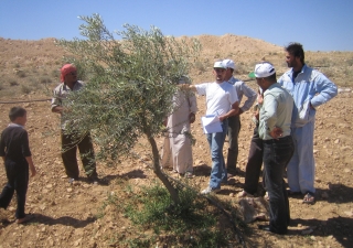 AKF Rural Support Team visits a farm in Syria to check on the new irrigation system. 