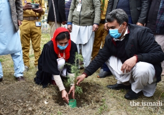 Through the ‘Darakht se Hayat’ initiative, members of the Jamat worked with community partners to plant over 162,000 trees across Pakistan.