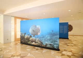 The Living Sea - Natural Beauty was on display at the Ismaili Centre Toronto from 24 May to 4 June.