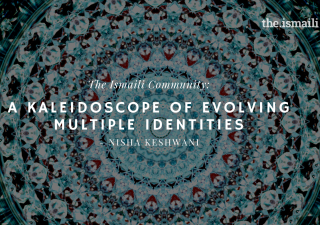 A Kaleidoscope of Evolving Multiple Identities
